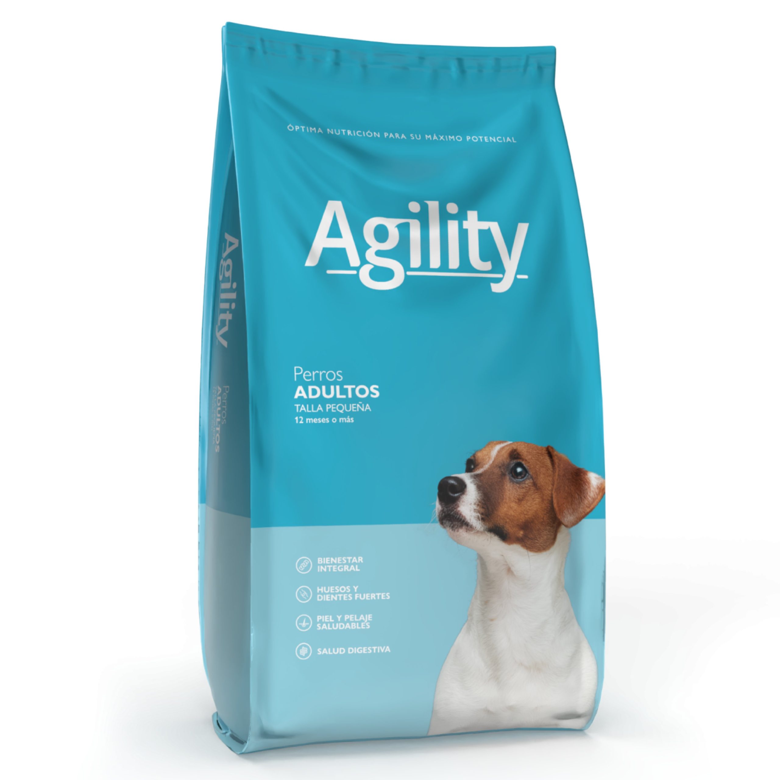 GridArt_20251123_004245912