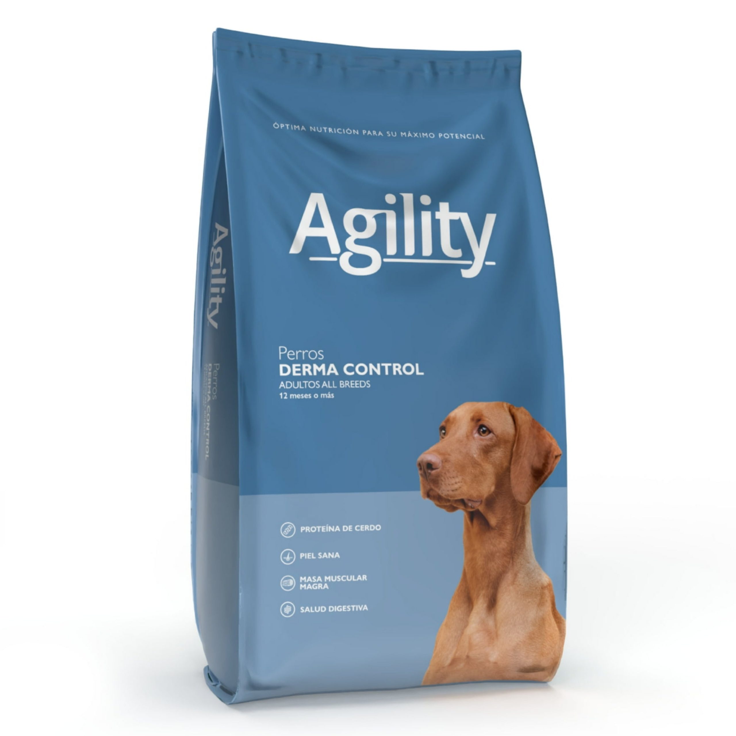 GridArt_20251123_031929952