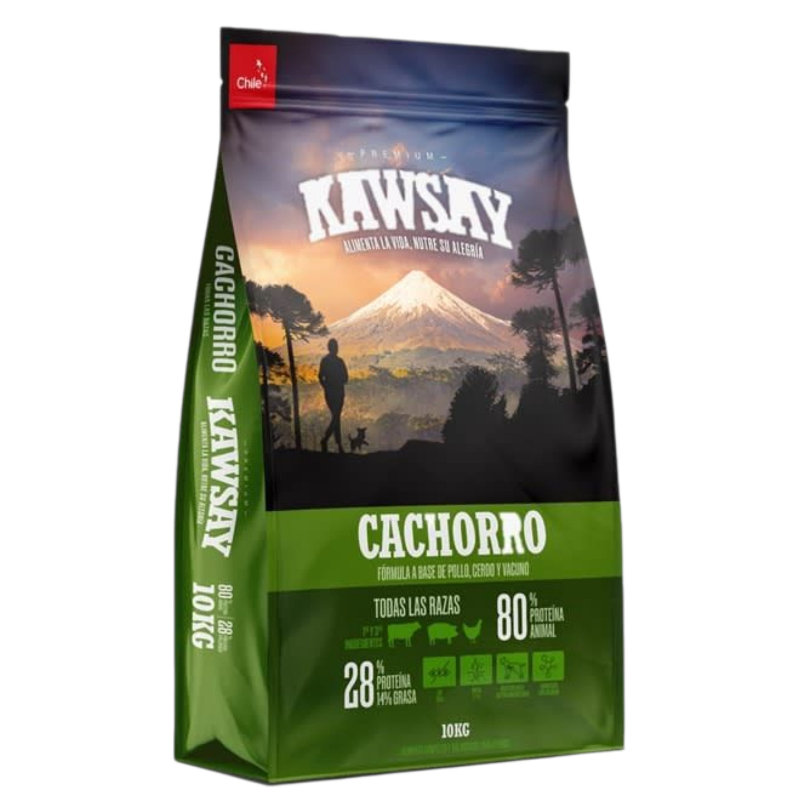 GridArt_20251128_015128118