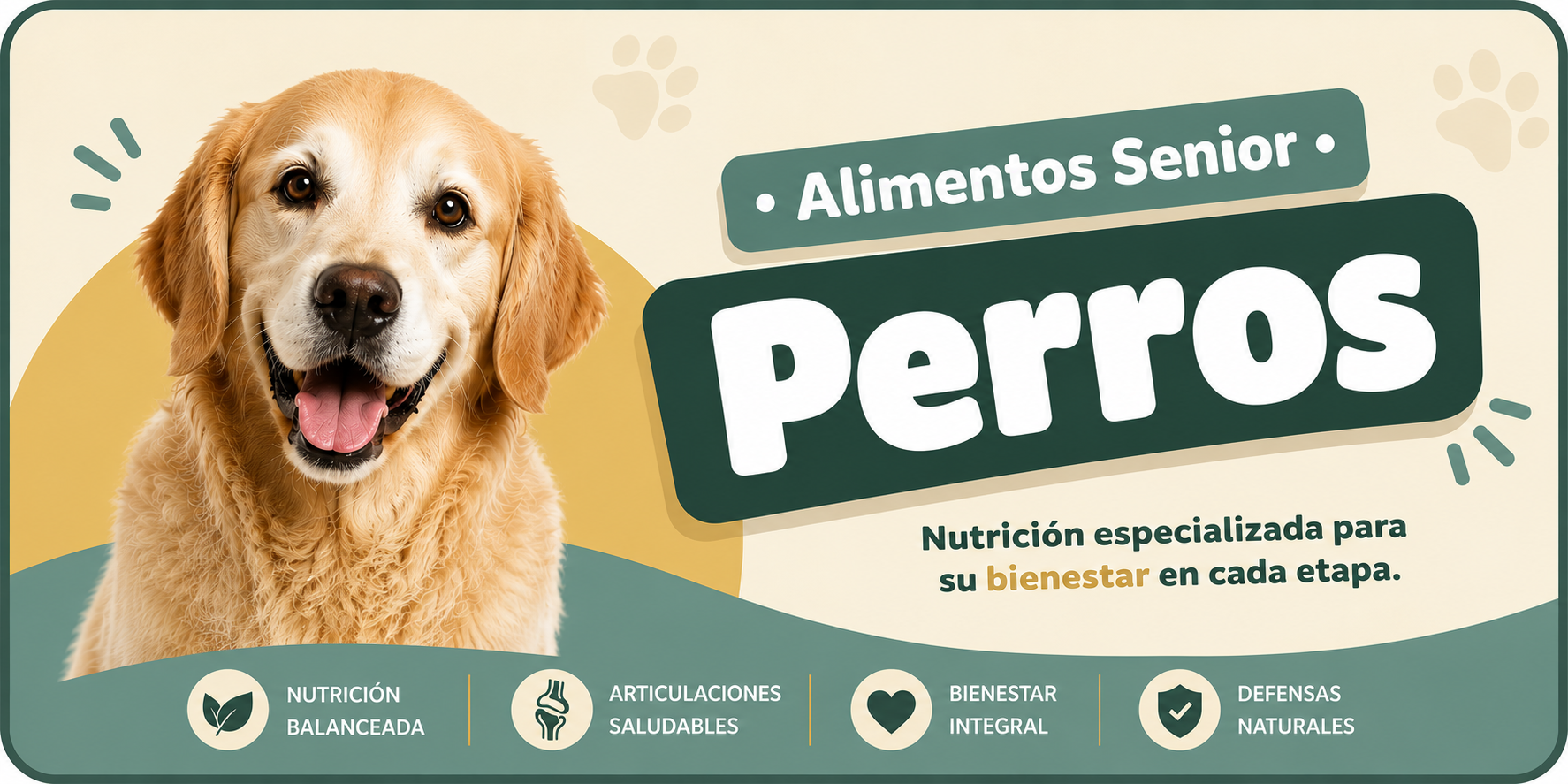 alimentos senior de perro